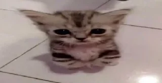 Стикер 66666 - 11