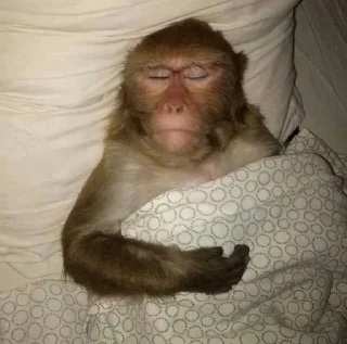 Стикер 66666 - 7