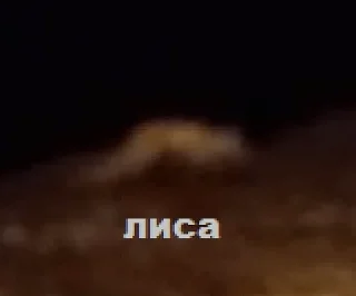 Стикер 66666 - 6