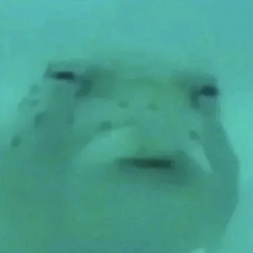 Создано в @sozdsti_bot - 