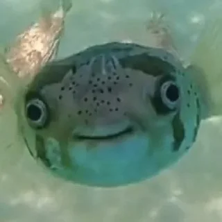 Стикер Создано в @sozdsti_bot - 1