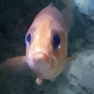 Стикер Создано в @sozdsti_bot - 9