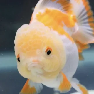 Стикер Создано в @sozdsti_bot - 11