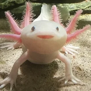 Стикер Создано в @sozdsti_bot - 10