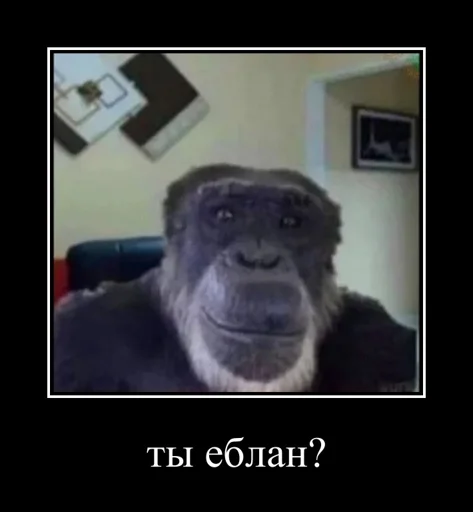 Sticker yea_scammers - 1