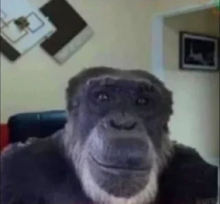 Стикер scammers by @og_skd - 4