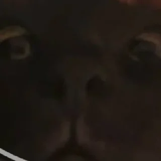 Sticker твоя мать шлюха - 3