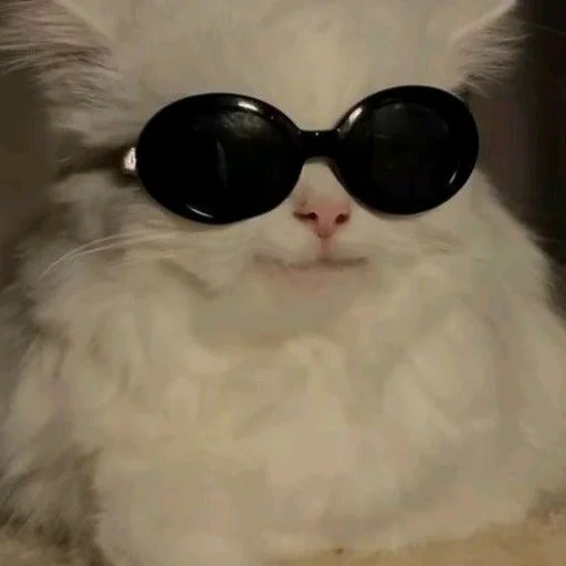 Стикер yebla_kotov - 1