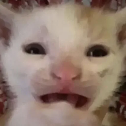 Sticker yebla_kotov - 1