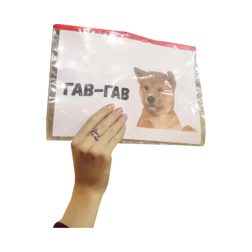 Sticker ебучие таблички с прессухи владим владимировича - 3