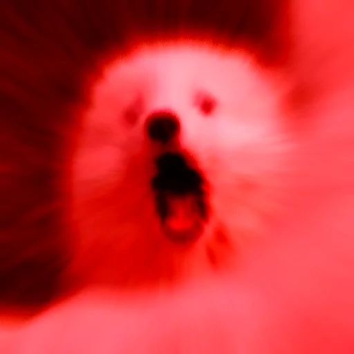 красный животное цветок