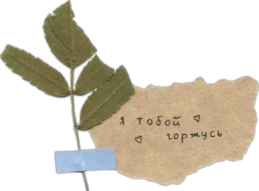 Стикер yeloveri - 1