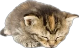 Sticker by @yellloveri - 4