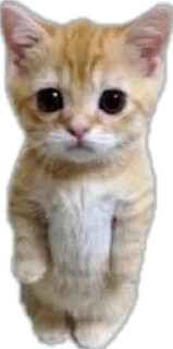 Sticker by @yellloveri - 6