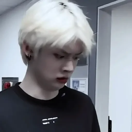 Человек шиньон комнатный