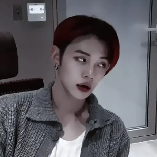 Человек человеческое лицо комнатный