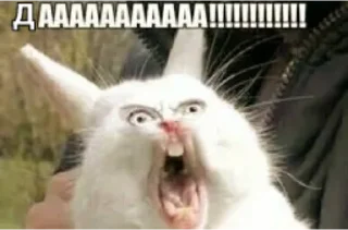 Стикер Да! - 1