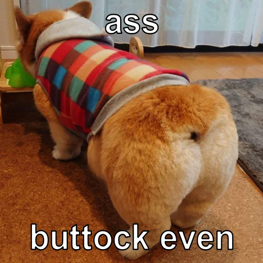 комнатный домашнее животное порода собак