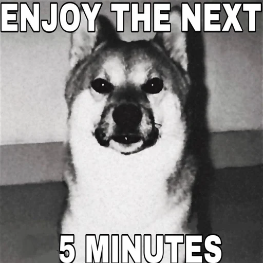 животное млекопитающее СМС