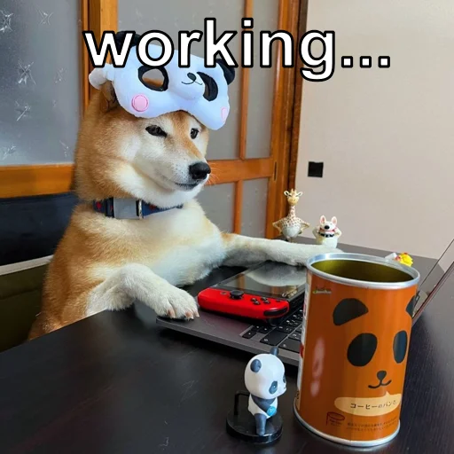 животное комнатный домашнее животное