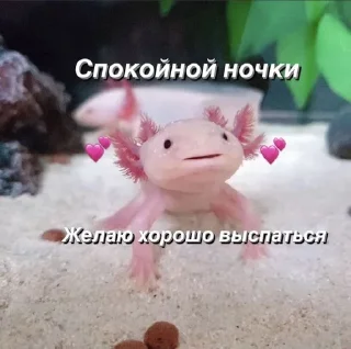 Стикер Ура.... - 11