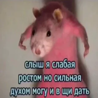 Стикер Ура.... - 5