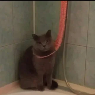 Стикер Ура.... - 1