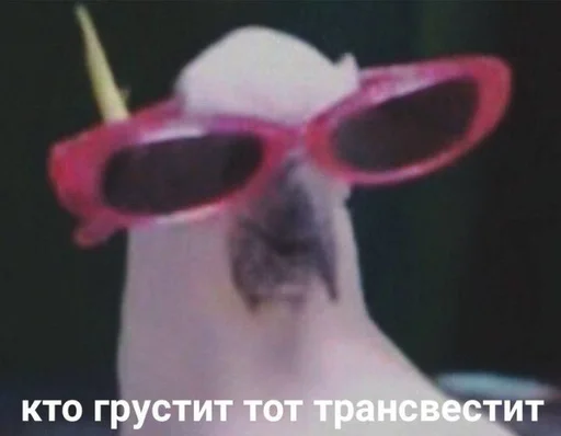 всратые картиночки - 