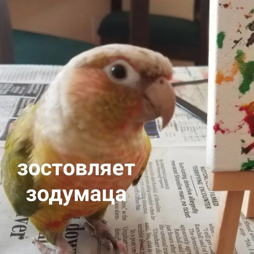 Стикер всратые картиночки - 3