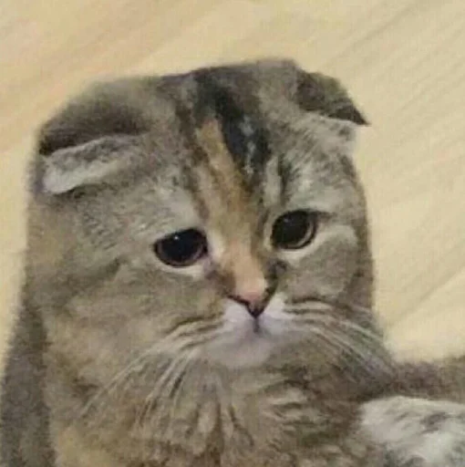 Стикер всратые картиночки - 1