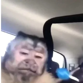 Стикер Больше стикеров 👉🏻 @stickertg4 - 3