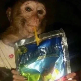 Стикер Больше стикеров 👉🏻 @stickertg4 - 11