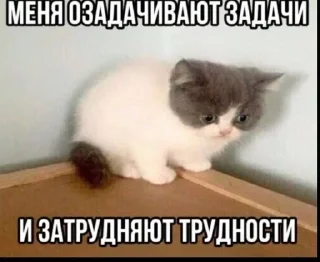 Sticker Больше стиков тут: @stikery4 - 0