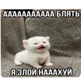 Sticker Больше стиков тут: @stikery4 - 6