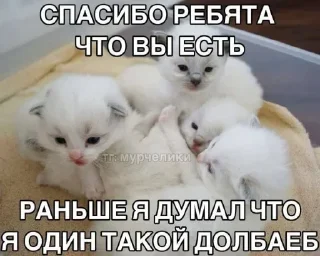 Sticker Больше стиков тут: @stikery4 - 11