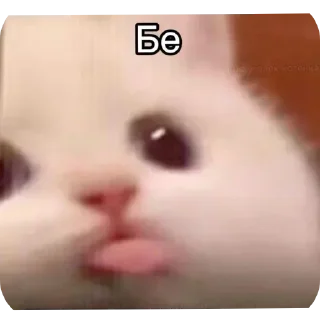 Sticker Больше стиков тут: @stikery4 - 10