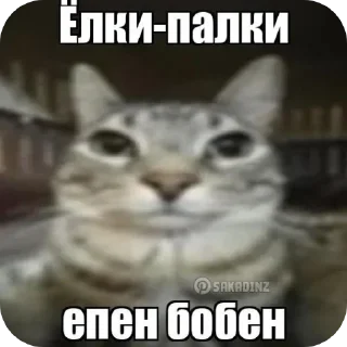 Sticker Больше стиков тут: @stikery4 - 5