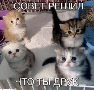 Sticker Больше стиков тут: @stikery4 - 9