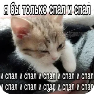 Sticker Больше стиков тут: @stikery4 - 3