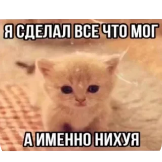 Sticker Больше стиков тут: @stikery4 - 2