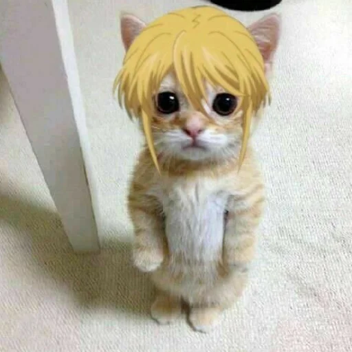 Sticker yipee_moriarty - 1