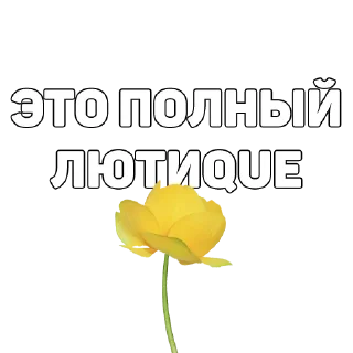 Sticker 134 ук рф - 6