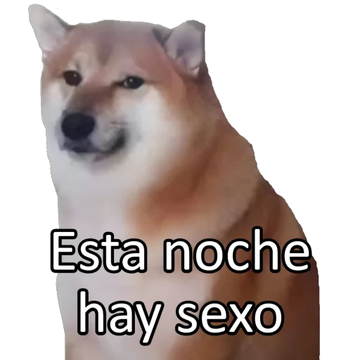 Стикер Memes - 0