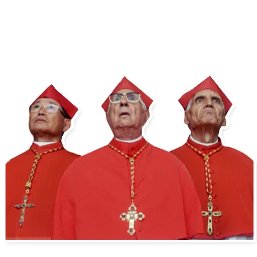 clothing vestment cardinal