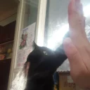 Sticker yoona_kv3 - 4