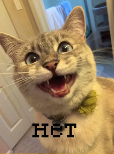 Sticker yooupiidoor - 1