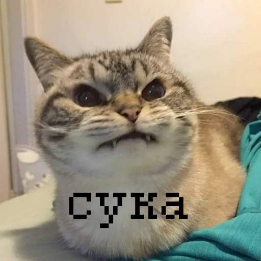 Sticker yooupiidoor - 1