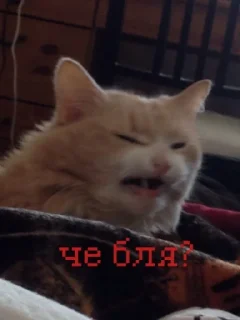 Стикер иди нахер - 1