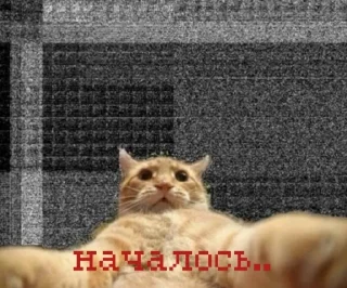 Стикер иди нахер - 6