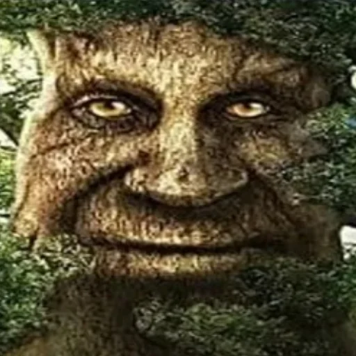 Мудрое Мистическое Дерево - 